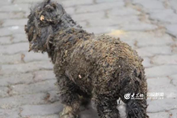 突發(fā)！青島一居民樓發(fā)生爆燃！已造1人死亡，7人受傷！3公里外有震感…