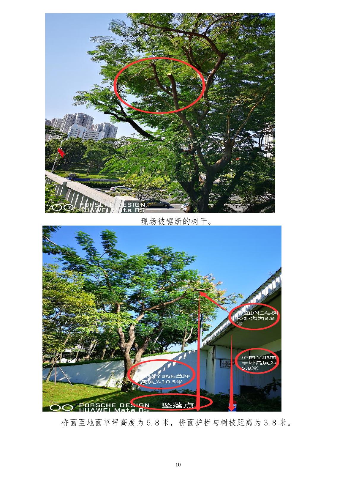 福田區(qū)人民政府關于“9· 20”福田區(qū)北環(huán)大道綠化管養(yǎng)工程項目死亡事故調(diào)查報告的批復_14.JPG